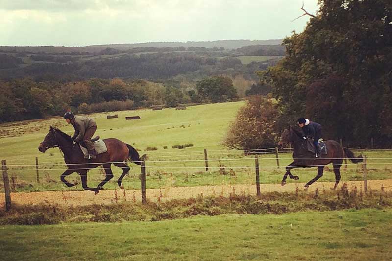 Brightling Park Gallop